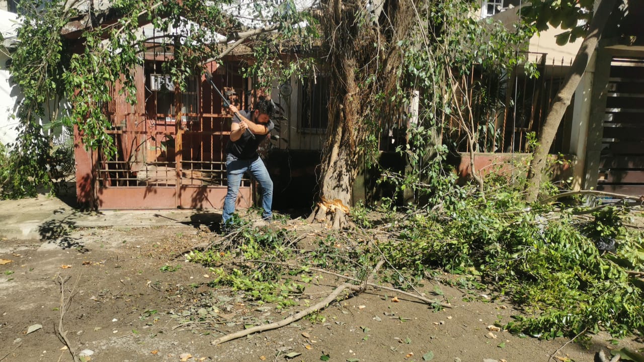 Limpieza de ramas tras el huracán Lidia
