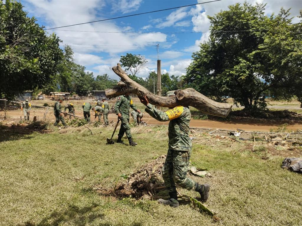 Militares levantando árboles