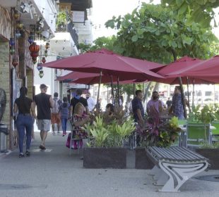 Movilidad turistica en Vallarta