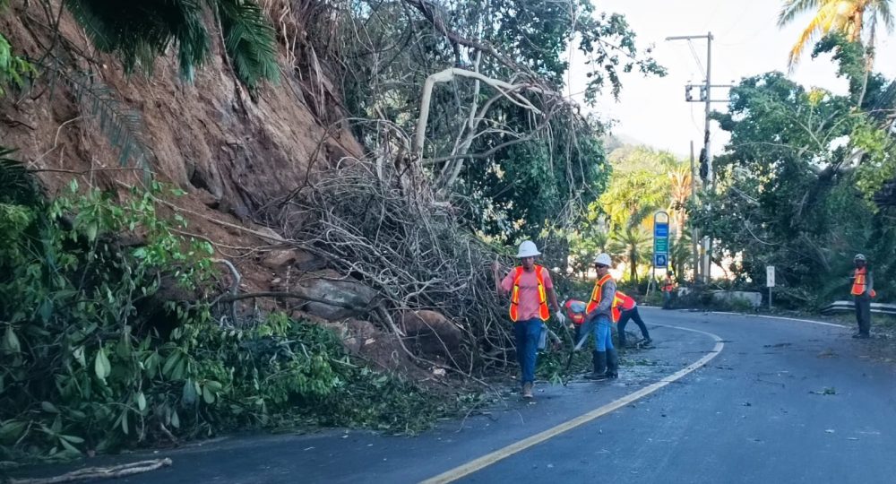 Personal de grupo tafer en laboeres de limpieza de carretera