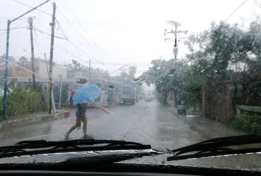 Persona sosteniendo paraguas mientras llueve