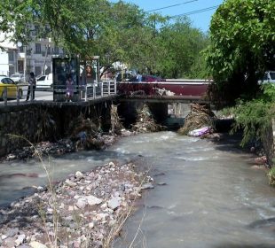 Ramas y basura en el arroyo Camarones