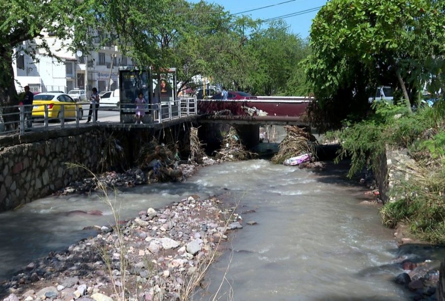 Ramas y basura en el arroyo Camarones