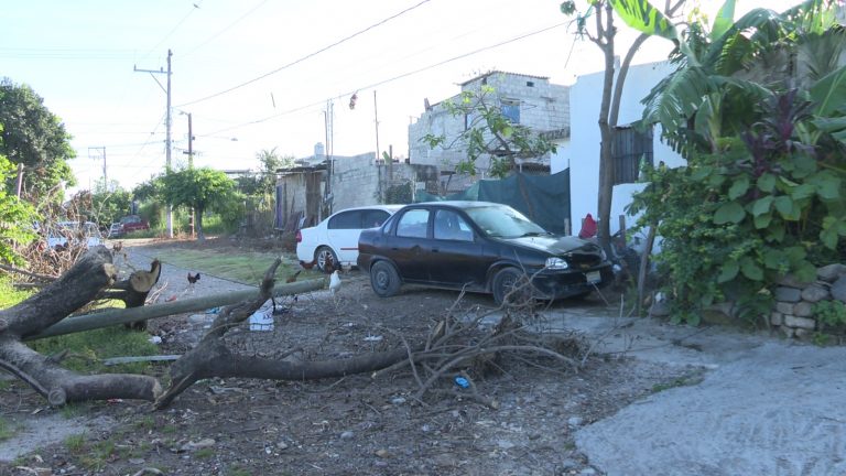 Ramas y postes caidos por Lidia