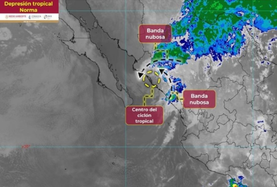 Norma se degrada a depresión tropical.