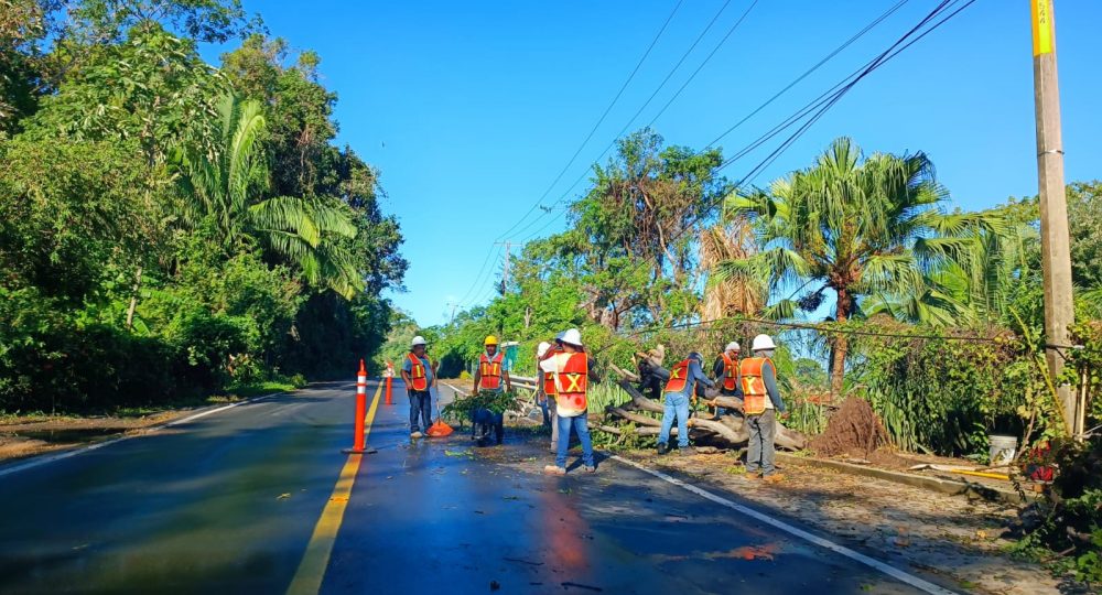 Trabajadores retirando árboles caidos sobre carretera