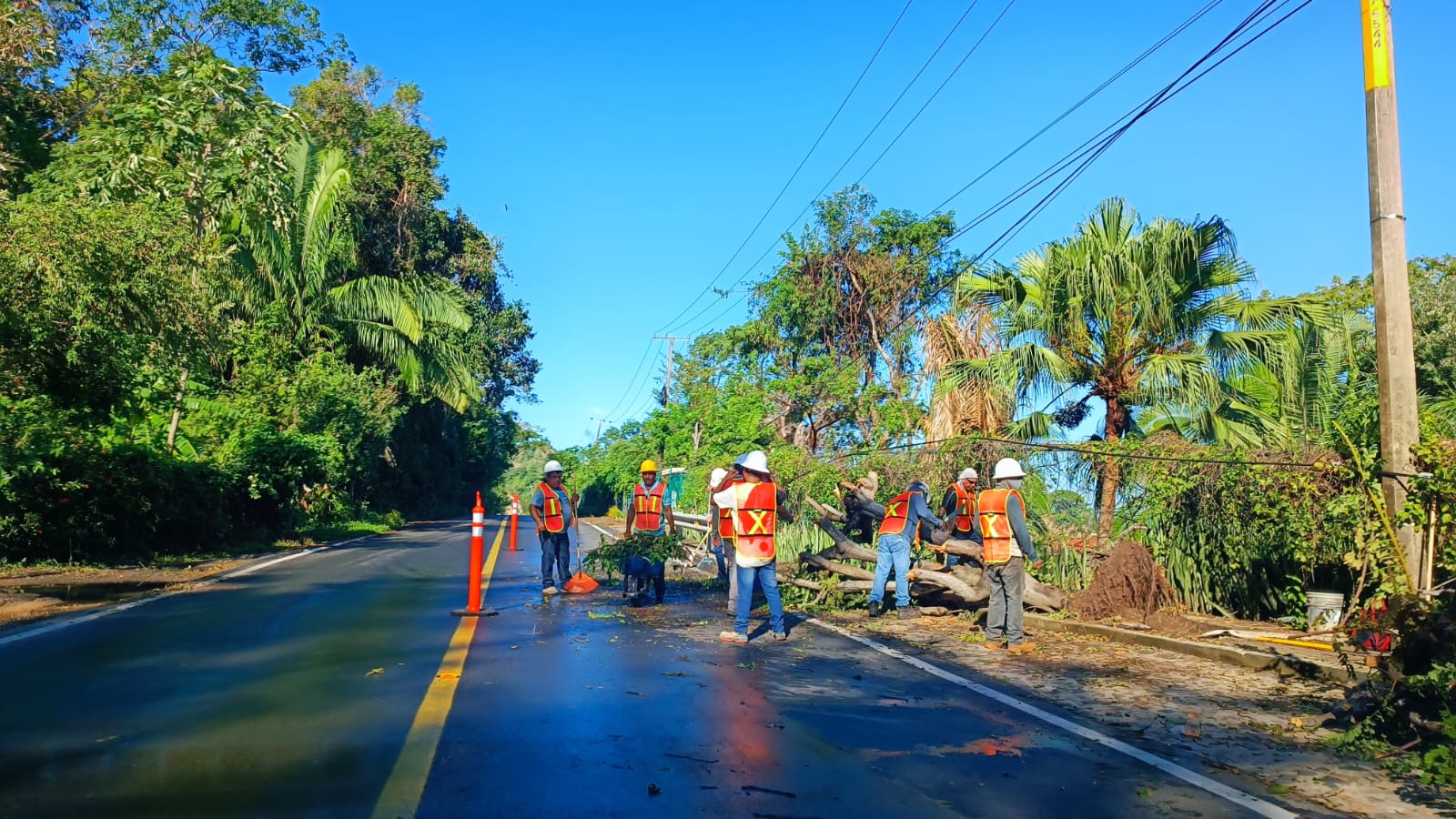 Trabajadores retirando árboles caidos sobre carretera