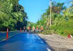 Trabajadores retirando rama de carretera