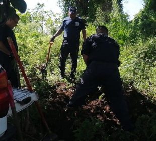 Venado no pudo sobrevivir a sus heridas