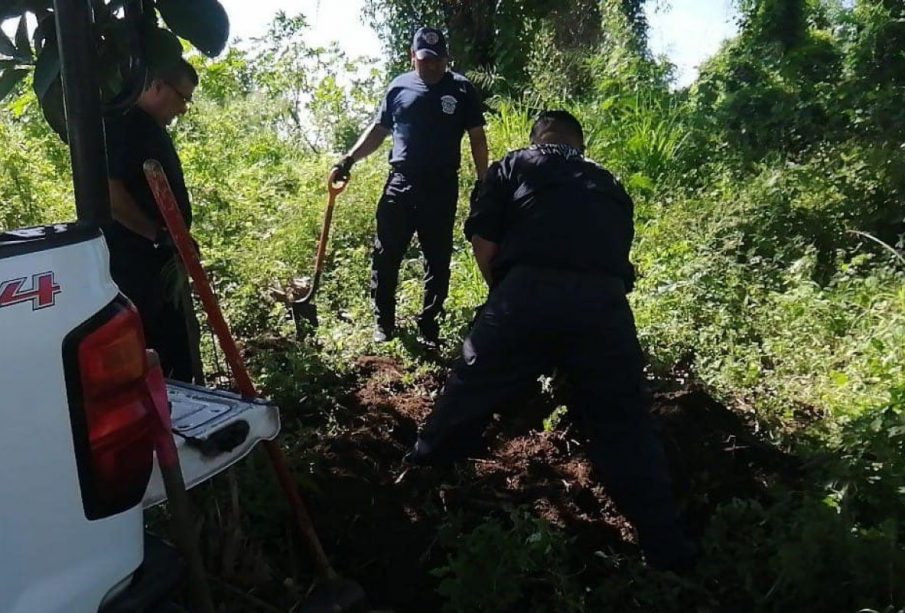 Venado no pudo sobrevivir a sus heridas