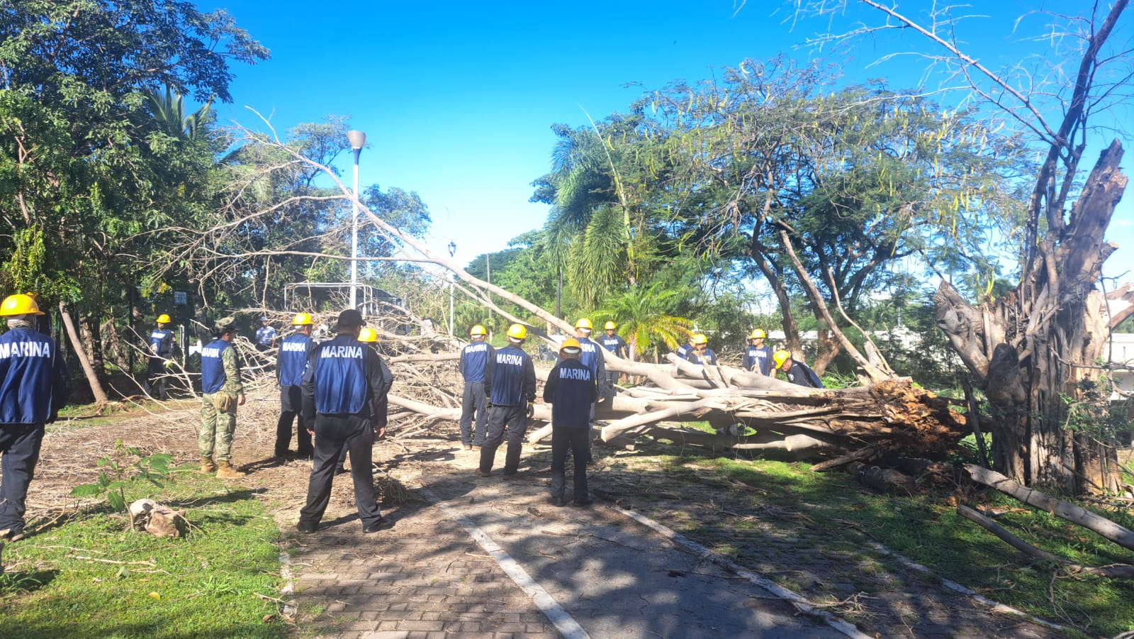 Voluntarios y SEMAR despejando el Parque Lineal