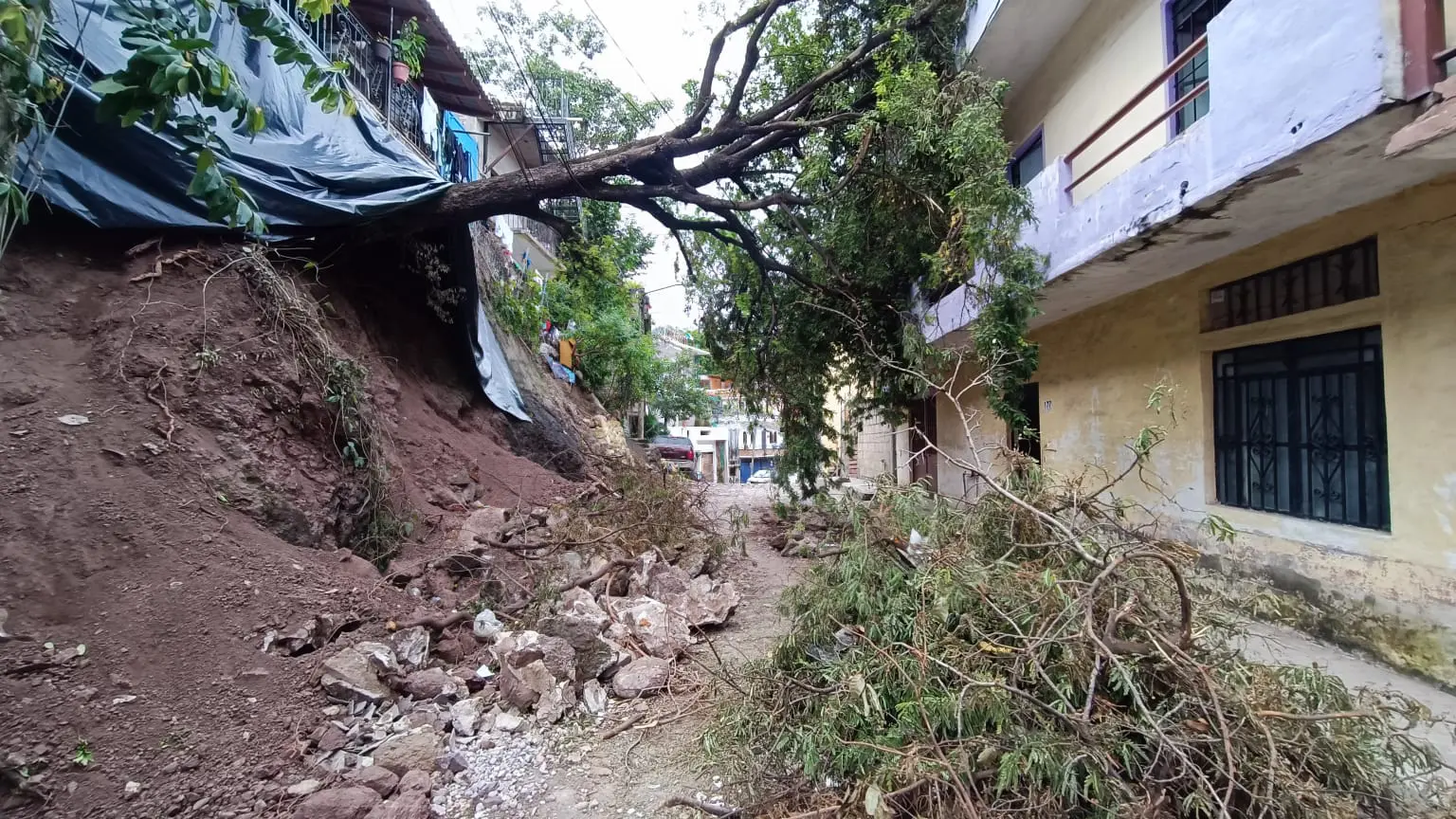 Árbol cae sobre una casa en la colonia El Caloso