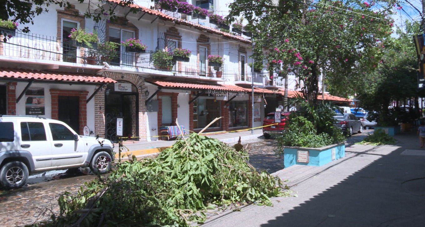 Negocios cerrados por falta de luz y árboles caidos 