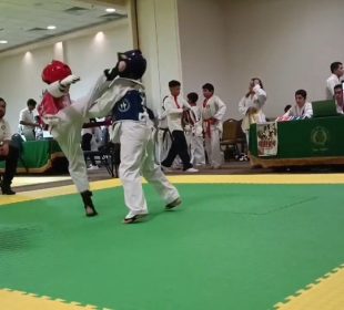 competencia de taekwondo