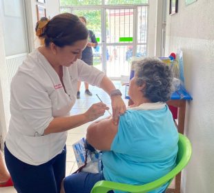 Vacuna contra la influenza