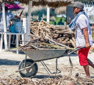 Persona trasladando basura orgánica en playas de Bahía de Banderas