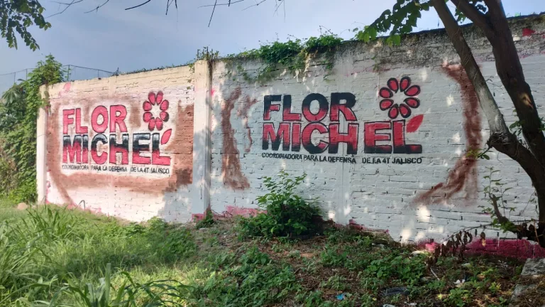 Barda a favor de flor michel