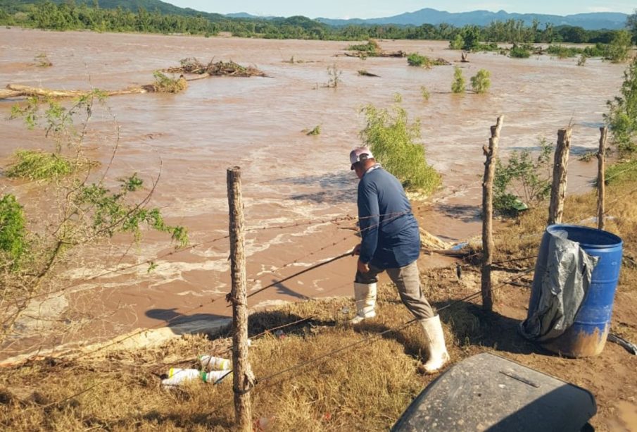 Campo afectado por "Lidia".