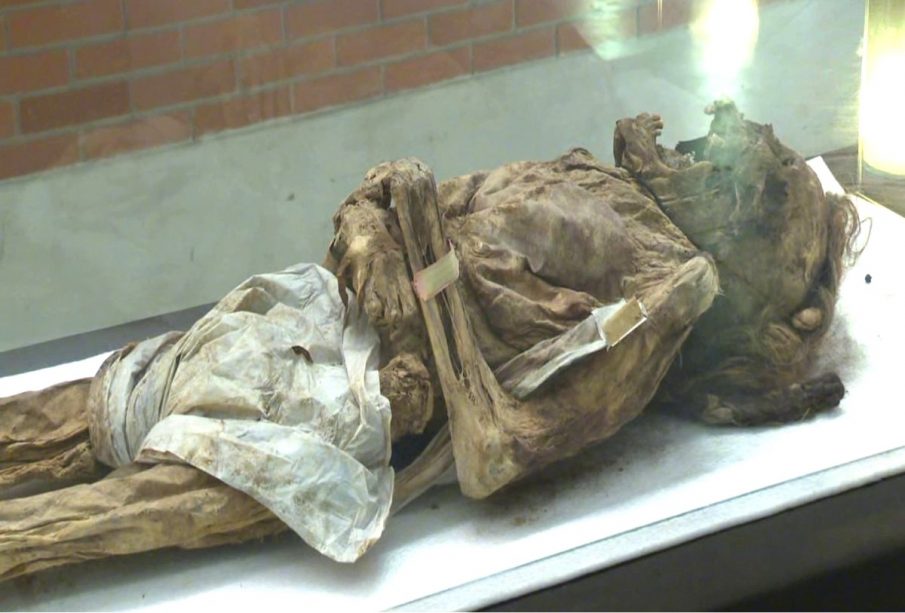 Exhibición de momias