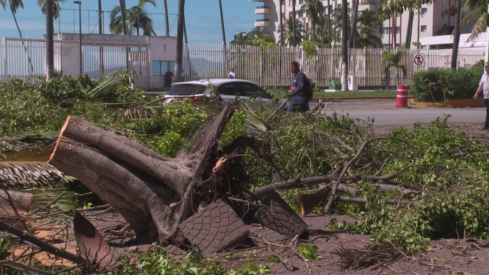 Destrozos de Lidia en Vallarta.