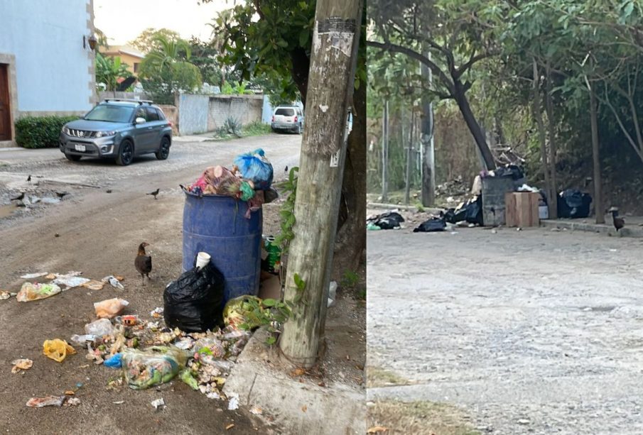 Basura en Punta Mita