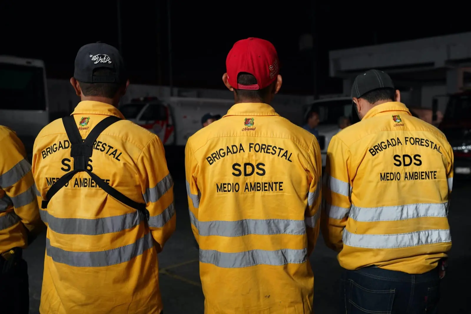 Brigada forestal de medio ambiente