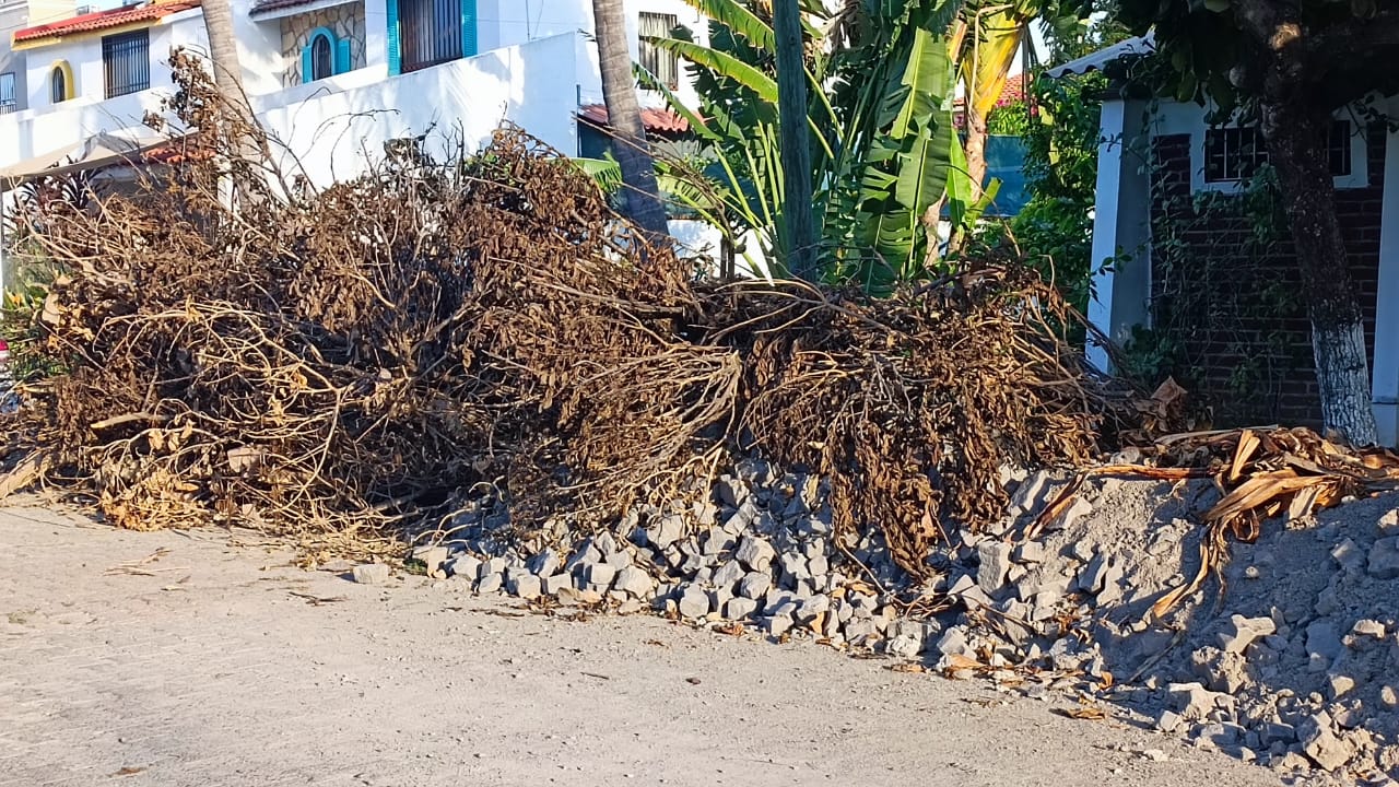 Basura, ramas y escombros en el Parque de Los Pájaros