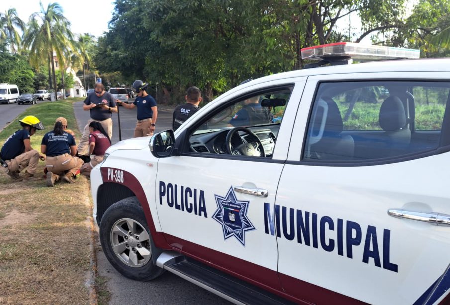 Patrulla de policia en sitio de accidente