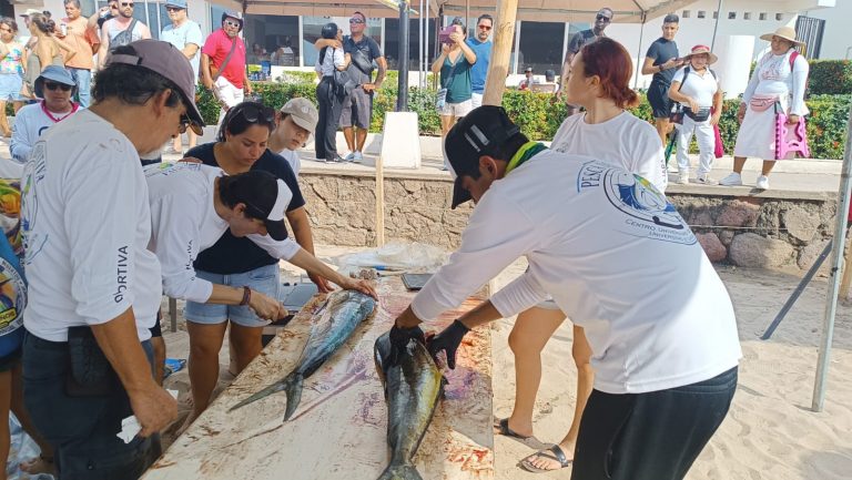 Pescadores fileteando pescados