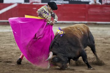 Ratificó la Corte suspensión de corridas de toros en la plaza Nuevo Progreso