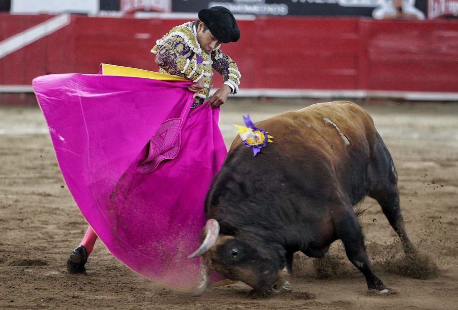 Ratificó la Corte suspensión de corridas de toros en la plaza Nuevo Progreso