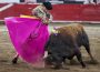 Ratificó la Corte suspensión de corridas de toros en la plaza Nuevo Progreso