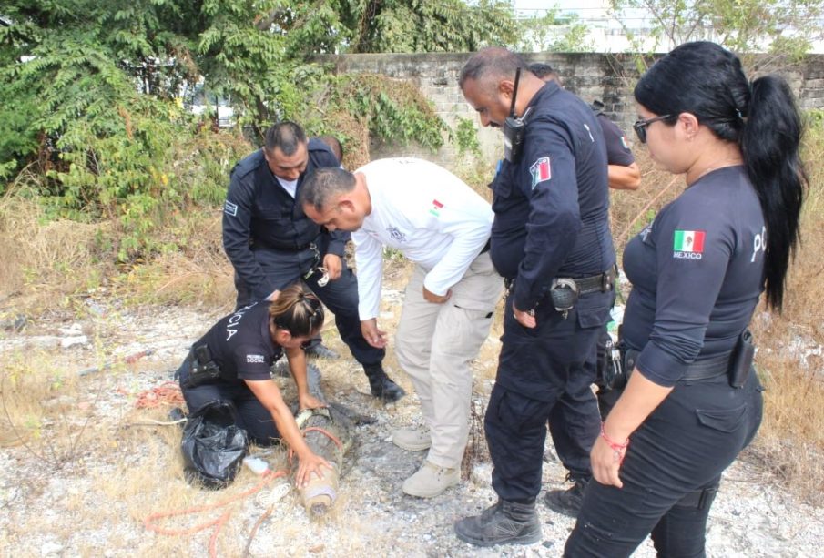 Policías capturan a cocodrilo