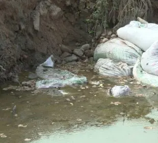 Estero de Villa Las Flores