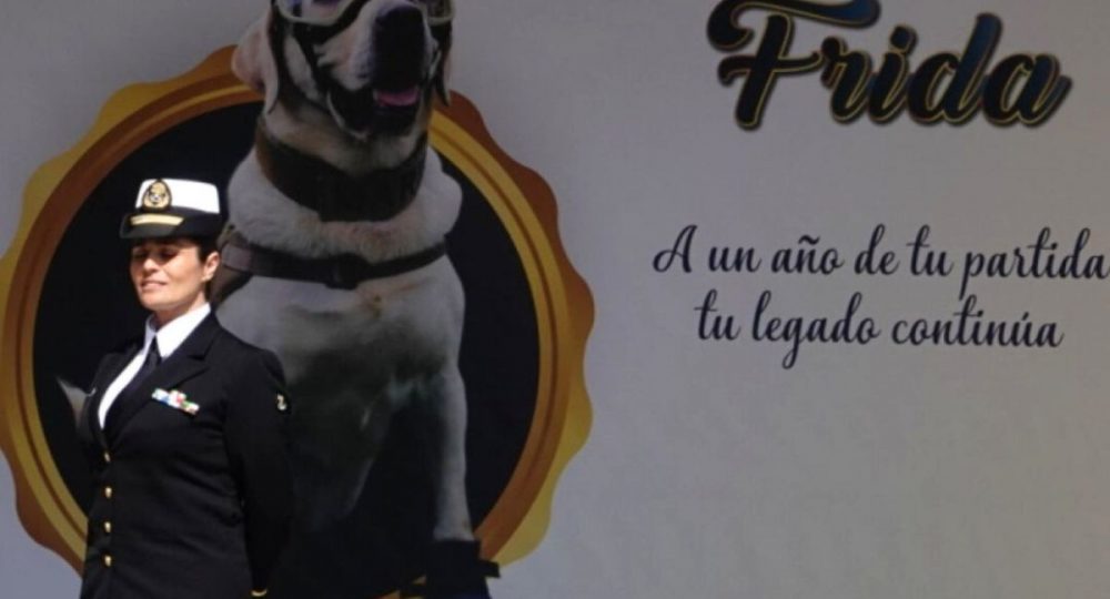 Homenaje a Frida, perrita rescatista