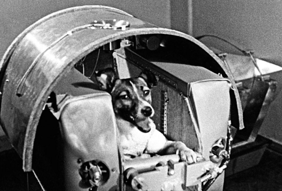 Laika La Perrita Astronauta Que Hace A Os Lleg Al Espacio