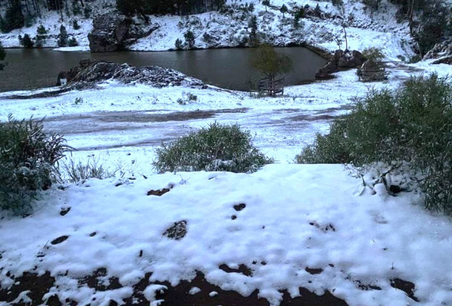 Heladas y nieve en México