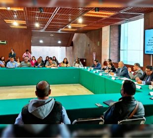 Ciudadanos de Mismaloya en el Congreso de la Unión