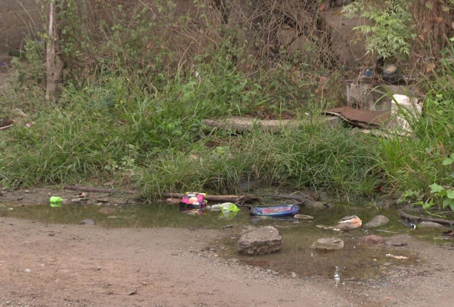 Aguas negras y basura en calle