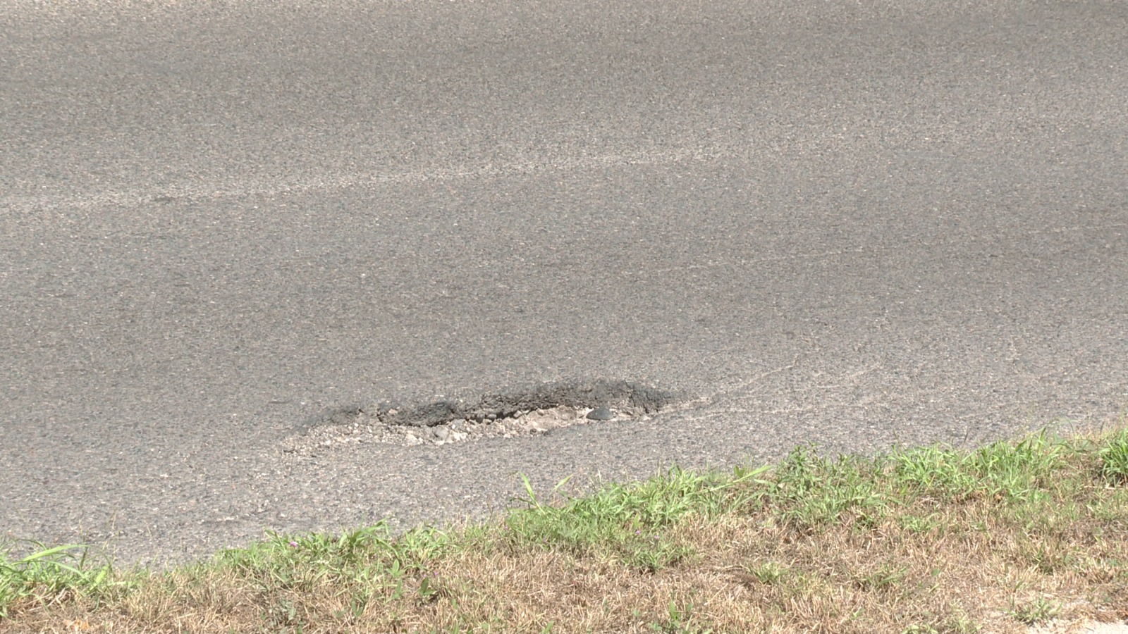 Bache en carretera