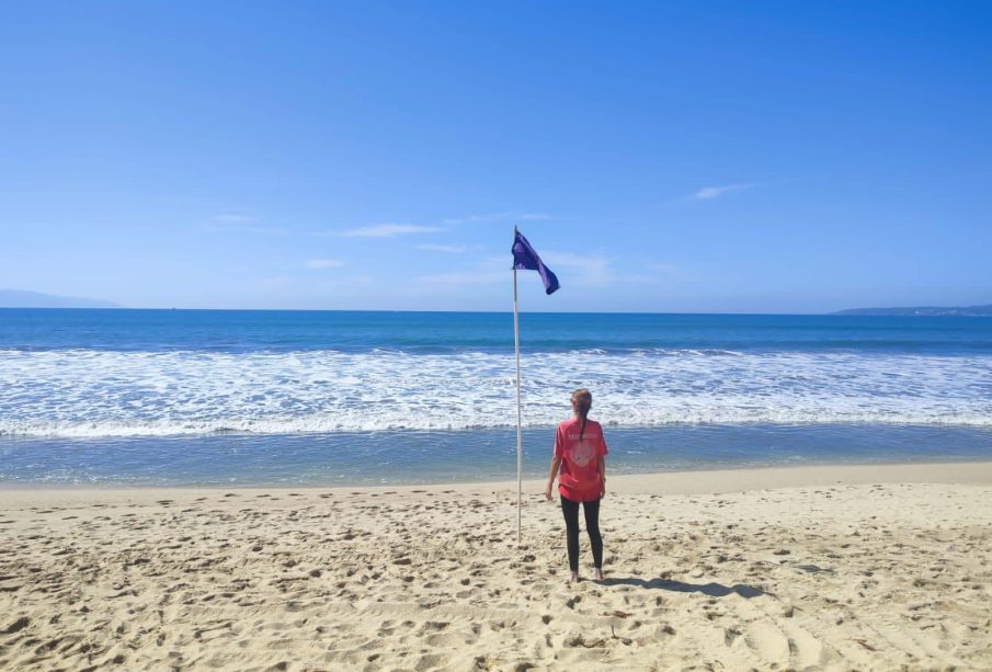 Bandera morada en playa ETC por cocodrilo
