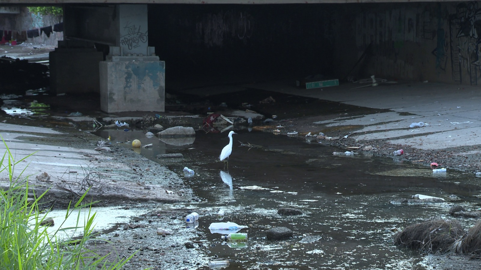 Basura bajo un puente