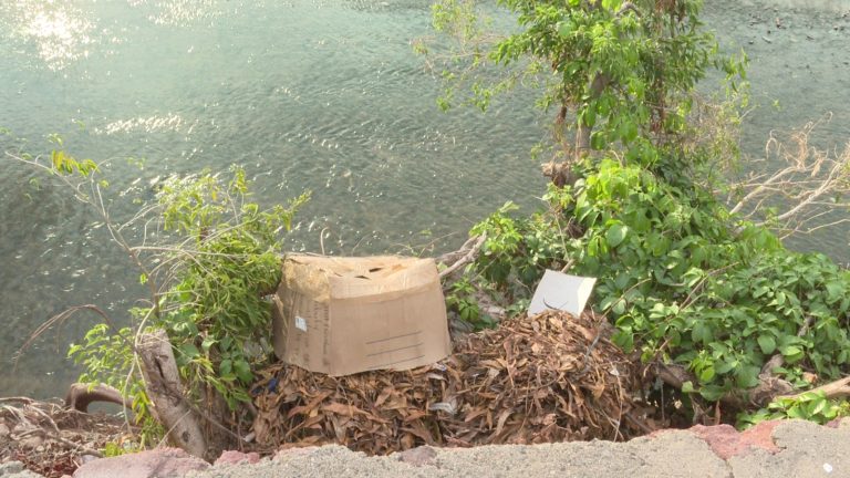 Basura y hojarasca en el río