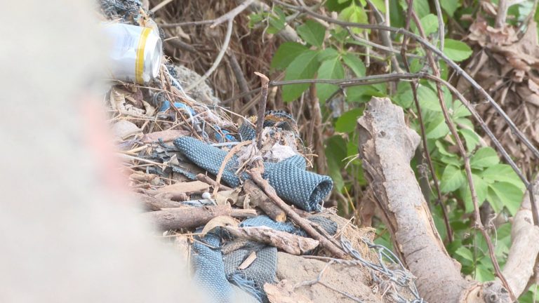 Basura y latas arrojadas al río