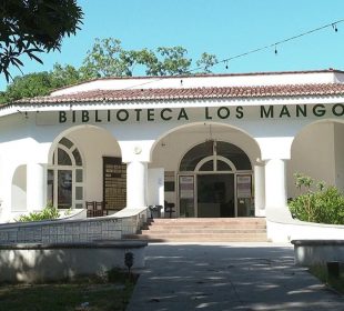 Biblioteca de Los Mangos