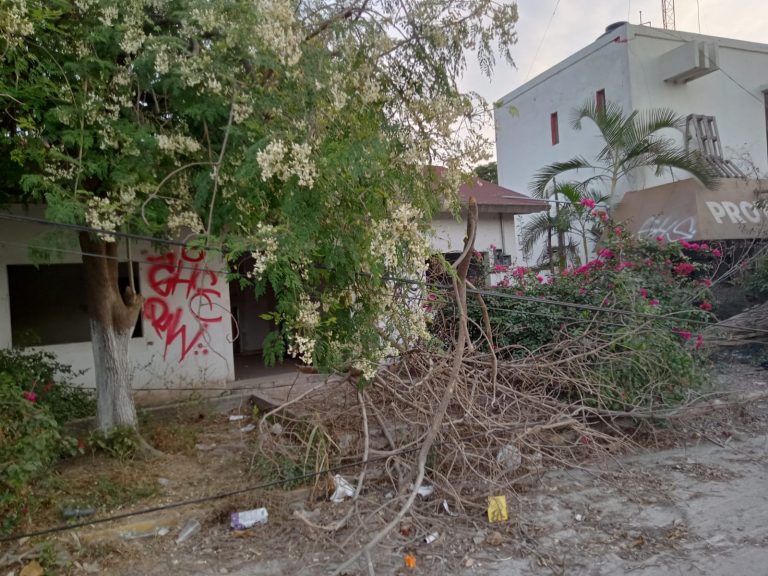 Espacio vandalizado y con basura