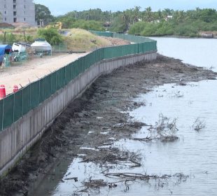 Lodo en mangle en Nuevo Vallarta