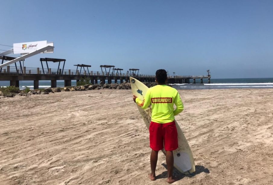 En el estado de Nayarit, se realiza operativo preventivo para evitar algún tipo de ataque de fauna marina