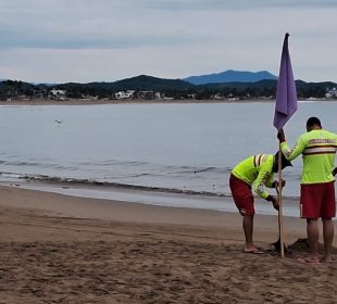 Factores que pidieron propiciar ataque de tiburón en Cihuatlán