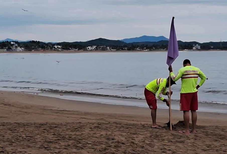 Factores que pidieron propiciar ataque de tiburón en Cihuatlán